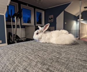 truls1