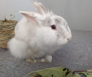 truls7
